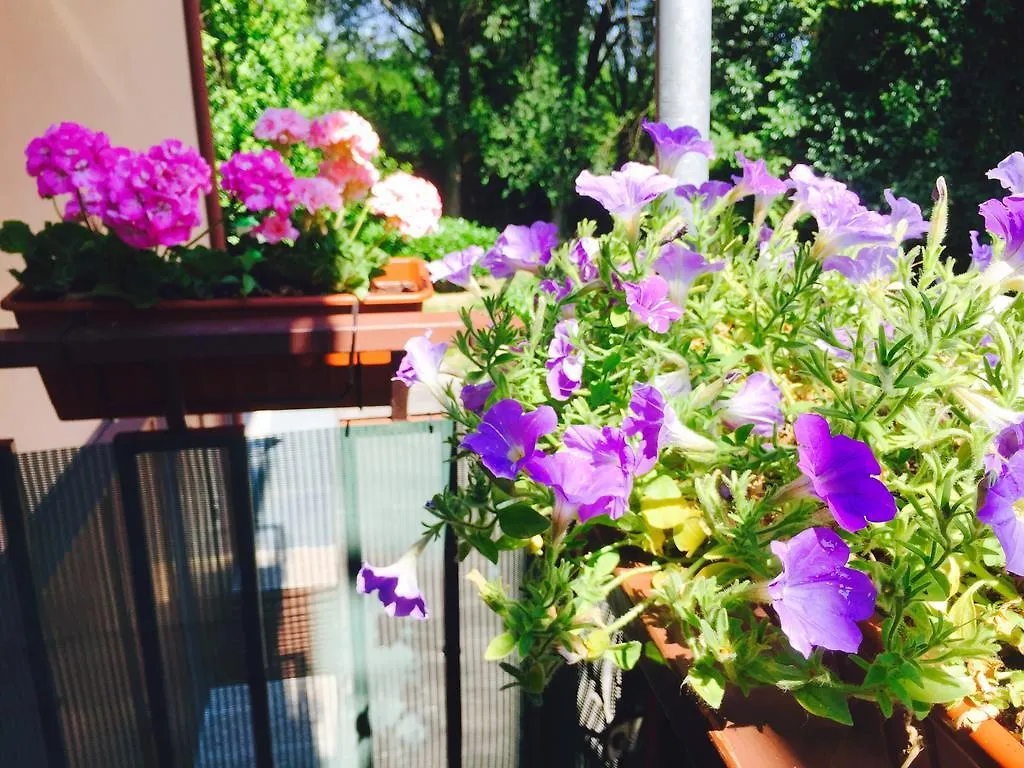 Bed & Breakfast Amore Rosa Campalto
